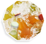 Concentrado Líquido